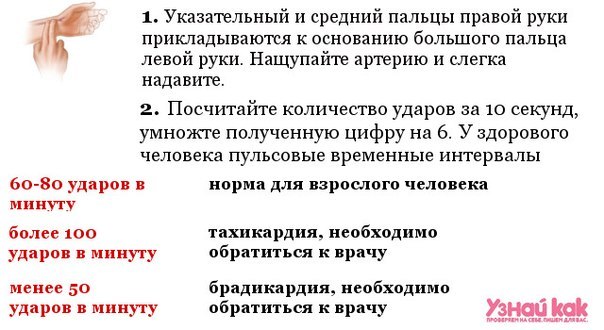 Рассмотрите фотографию прощупайте у себя на левой руке пульс каждый удар пульса