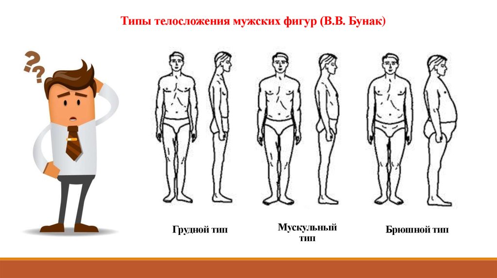 Описание типов фигур. Типы мужских фигур. Типы людей по телосложению. Типы телосложения у мужчин. Конституциональные типы мужчин.