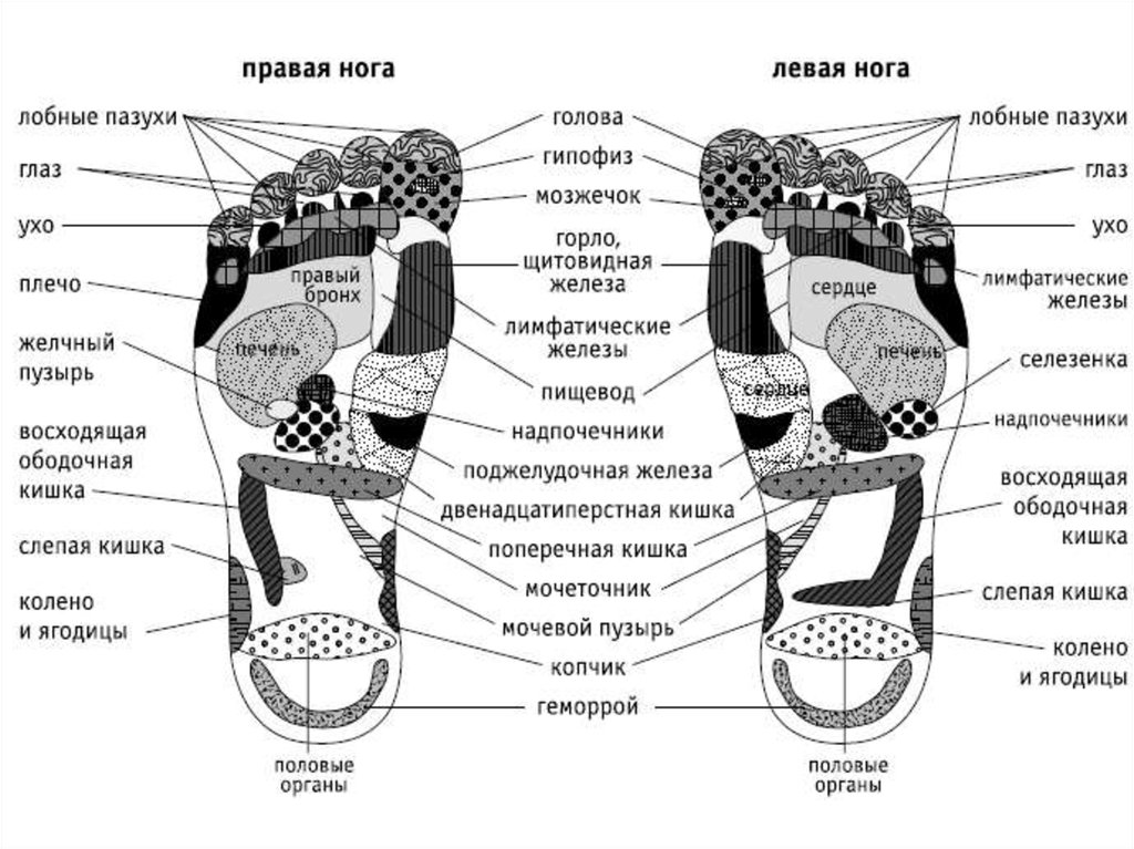 Какие точки на ступне отвечают за органы фото с надписями