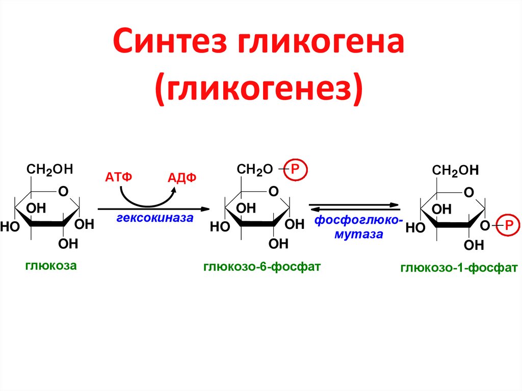 Распад гликогена схема