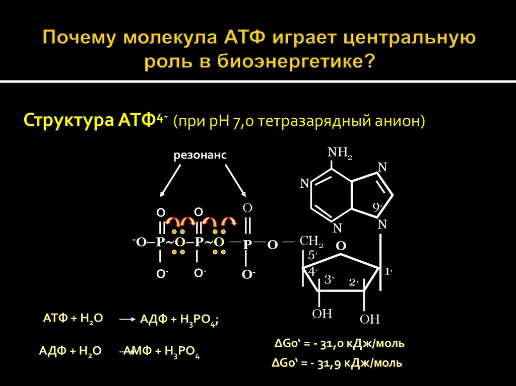 Химические связи атф. Химическая структура АТФ. АТФ формула биохимия. Пространственное строение молекул АТФ. АТФ строение и функции.