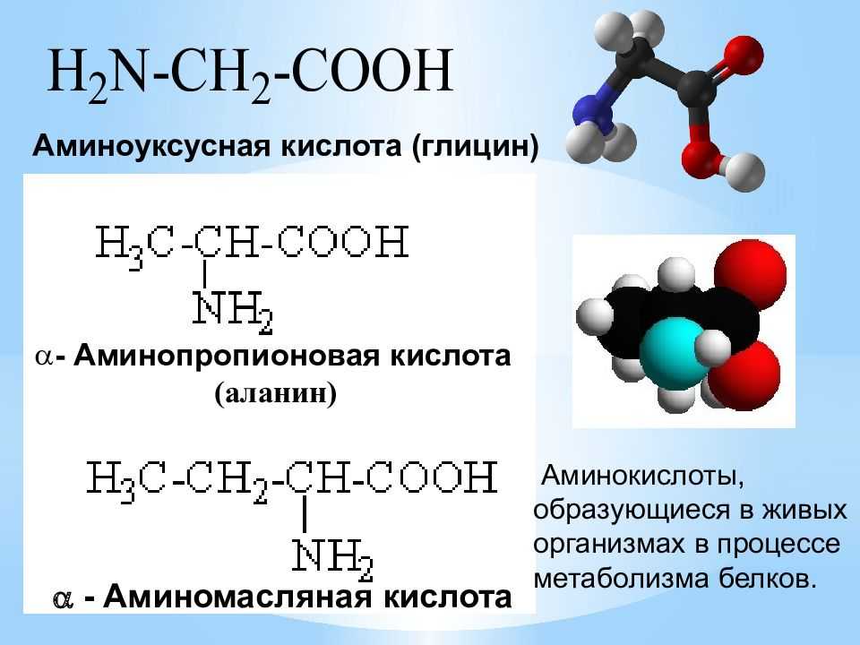 Аминокислоты план конспект урока