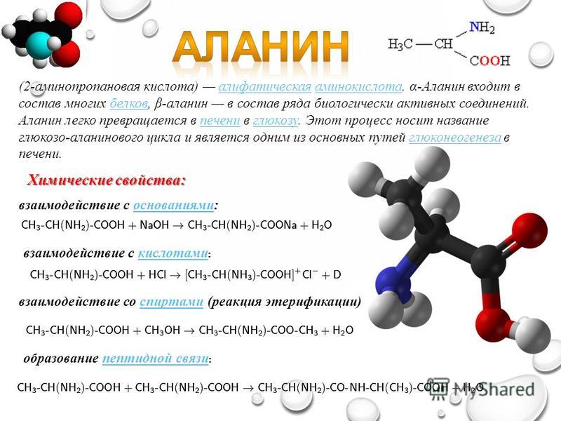 Аланин проявляет свойства. Аланин 2 аминопропановая кислота. 2 Аминопропановая кислота кислота. 2-Аминопропановая кислота полипептид. Аланин аминокислота.