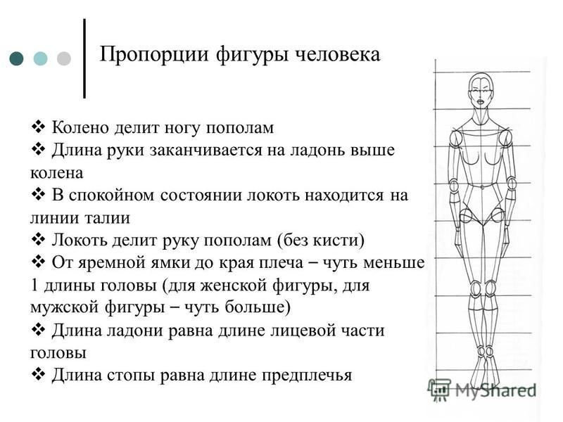 Изображение человека называется