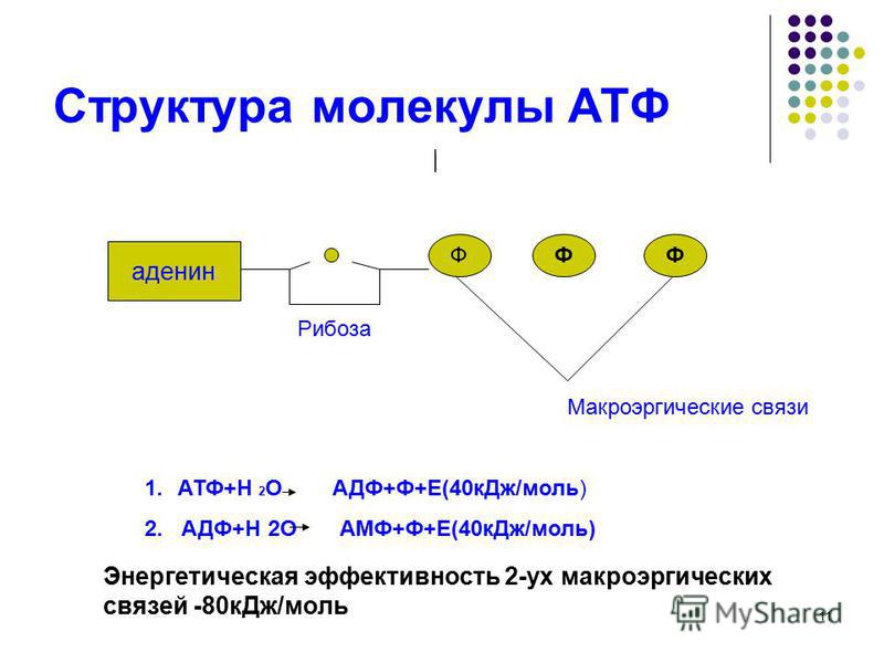 Изобразите молекулу атф. Структура молекулы АТФ. Строение молекулы АТФ. Типы связей в молекуле АТФ. Схема структуры молекулы АТФ.