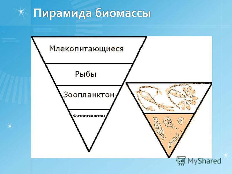 Перевернутая пирамида энергии