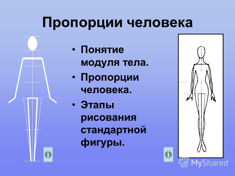 Соотношение изображения. Пропорции тела человека. Пропорции и строение фигуры человека. Соотношение пропорций человека. Пропорциональная фигура человека.