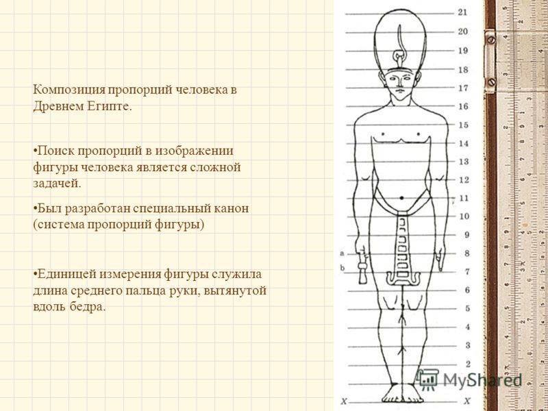 1 система пропорций человеческой фигуры которая делила изображения на части это