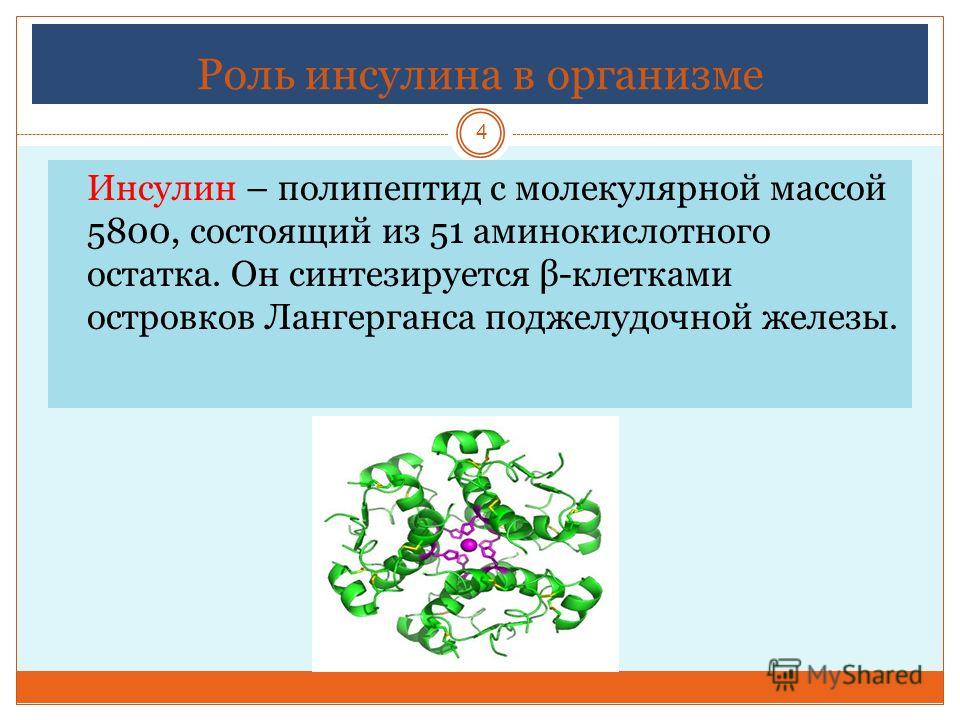 Инсулин презентация по биологии