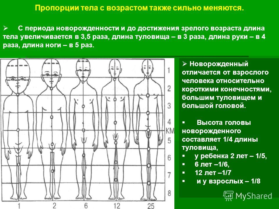 Что такое пропорции пикселя