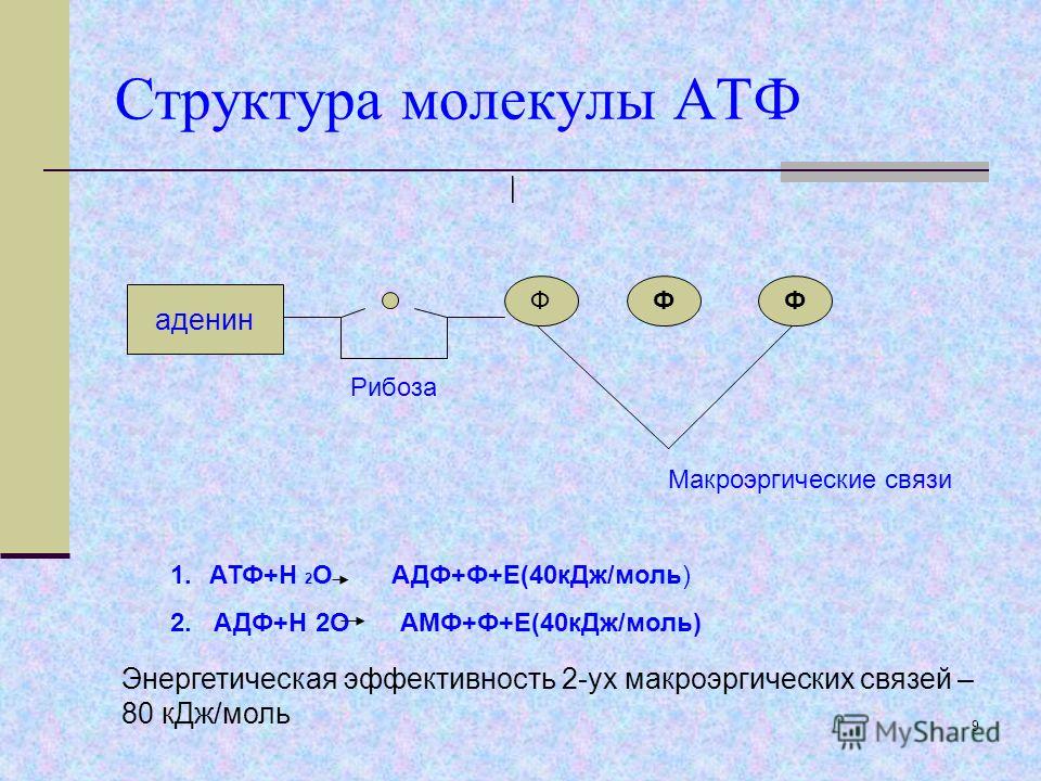 Молекула атф макроэргические связи. Строение АТФ И АДФ. Макроэргические связи в молекуле АТФ. Структура молекулы АТФ. Схема строения АТФ макроэргические связи.