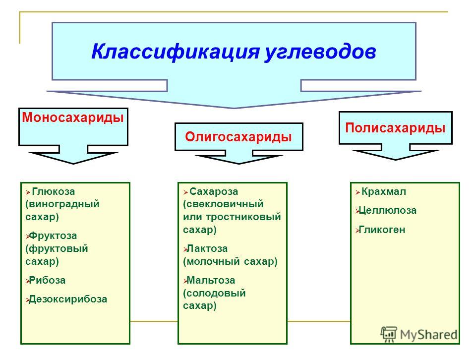 Углеводы их классификация презентация