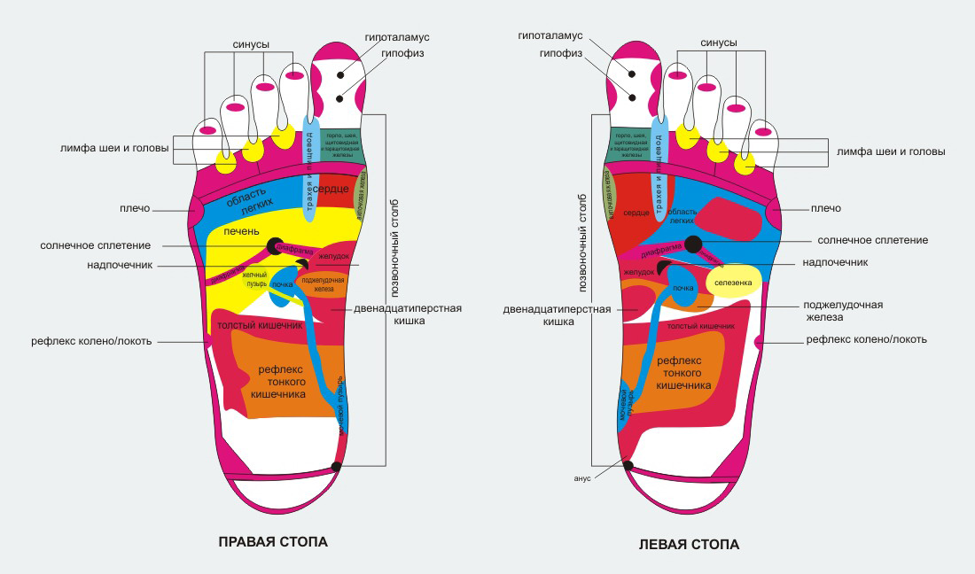 Точки на ногах отвечающие за органы фото с надписями
