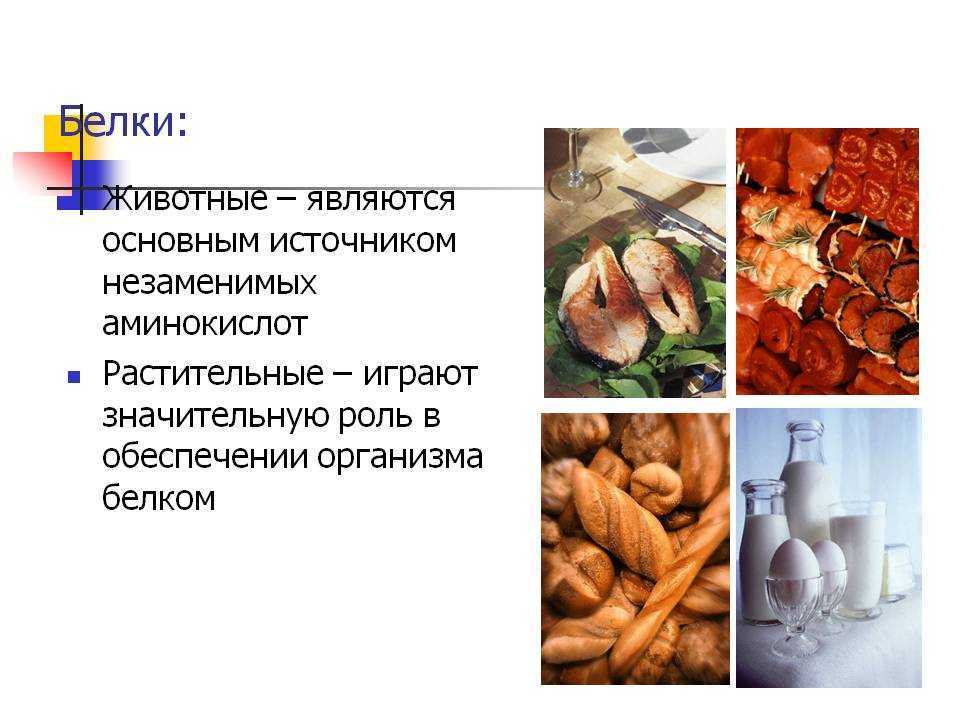 Основным источником белка является. Источники белков в организме. Продукты которые являются источником белка. Белок животного и растительного происхождения. Белки животного происхождения.