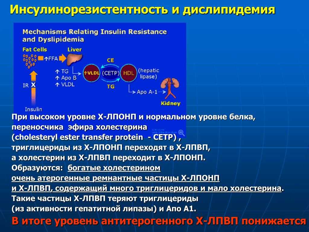 Инсулинорезистентность что это такое простыми словами симптомы и лечение у женщин после 40 лет фото