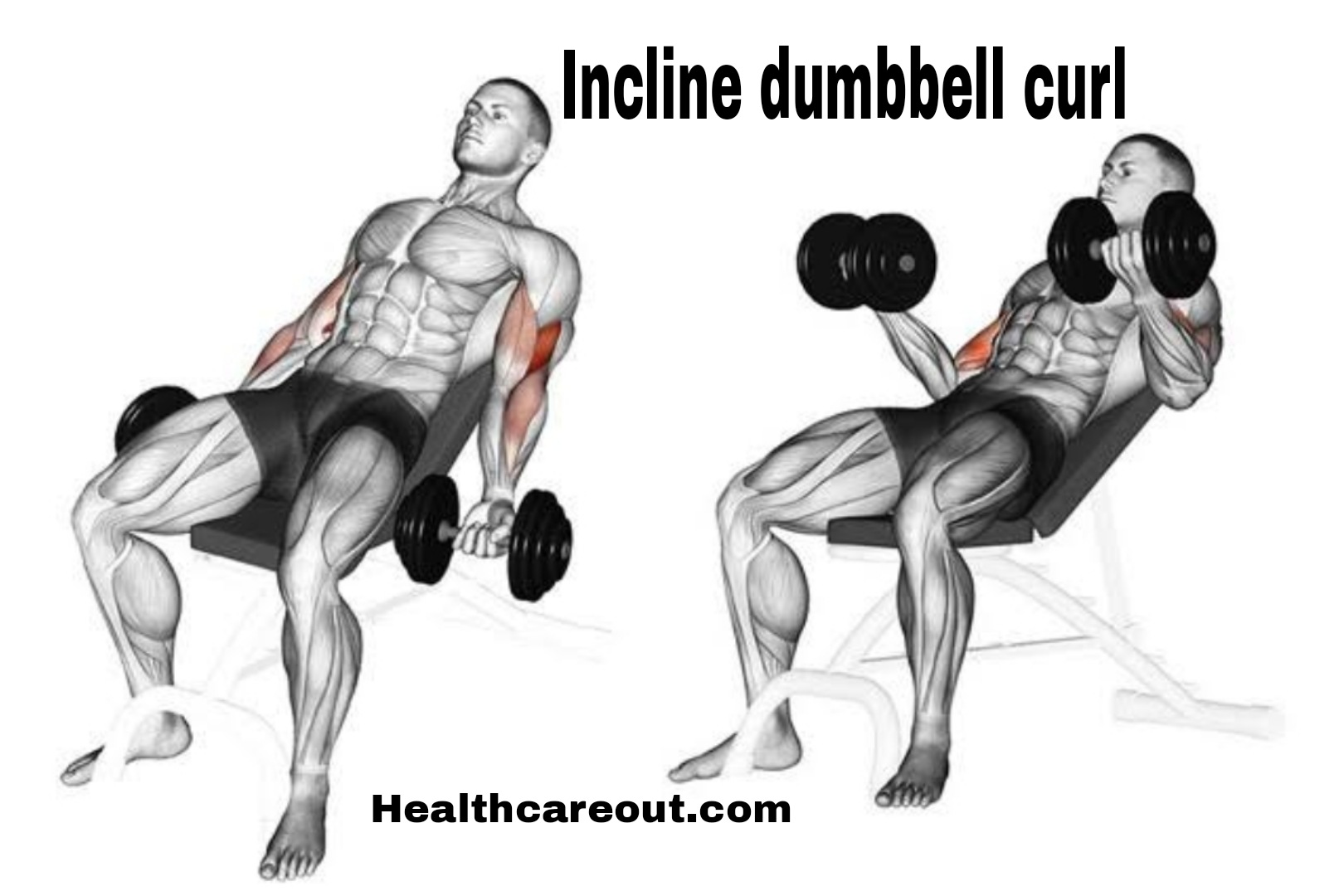 Incline Barbell Curl