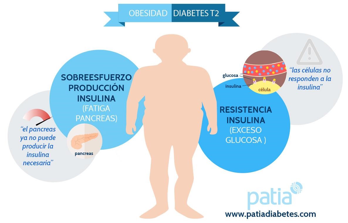 Exceso de insulina y sobrepeso