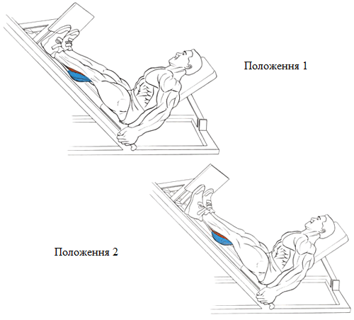 Жим ногами схема