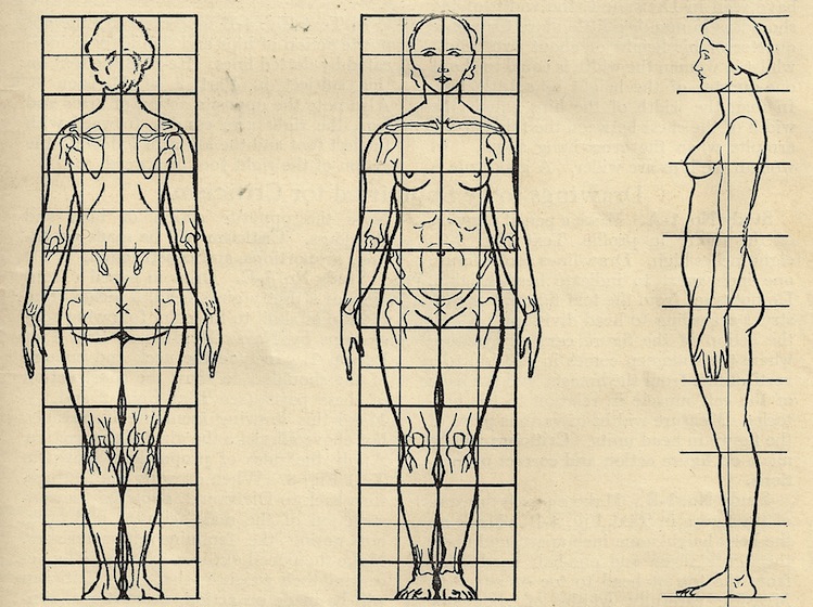Рисунок изображение фигуры. Антропометрия пропорции тела человека. Пропорции тела человека для рисования. Пропорции женской фигуры для рисования. Пропорции фигуры человека для рисования.