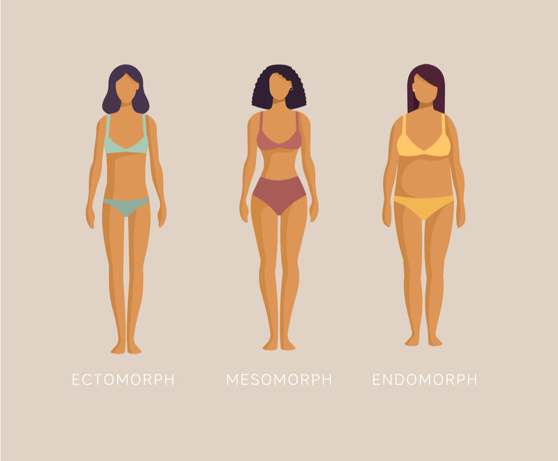 3 types of bodies