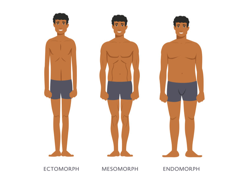 men body types