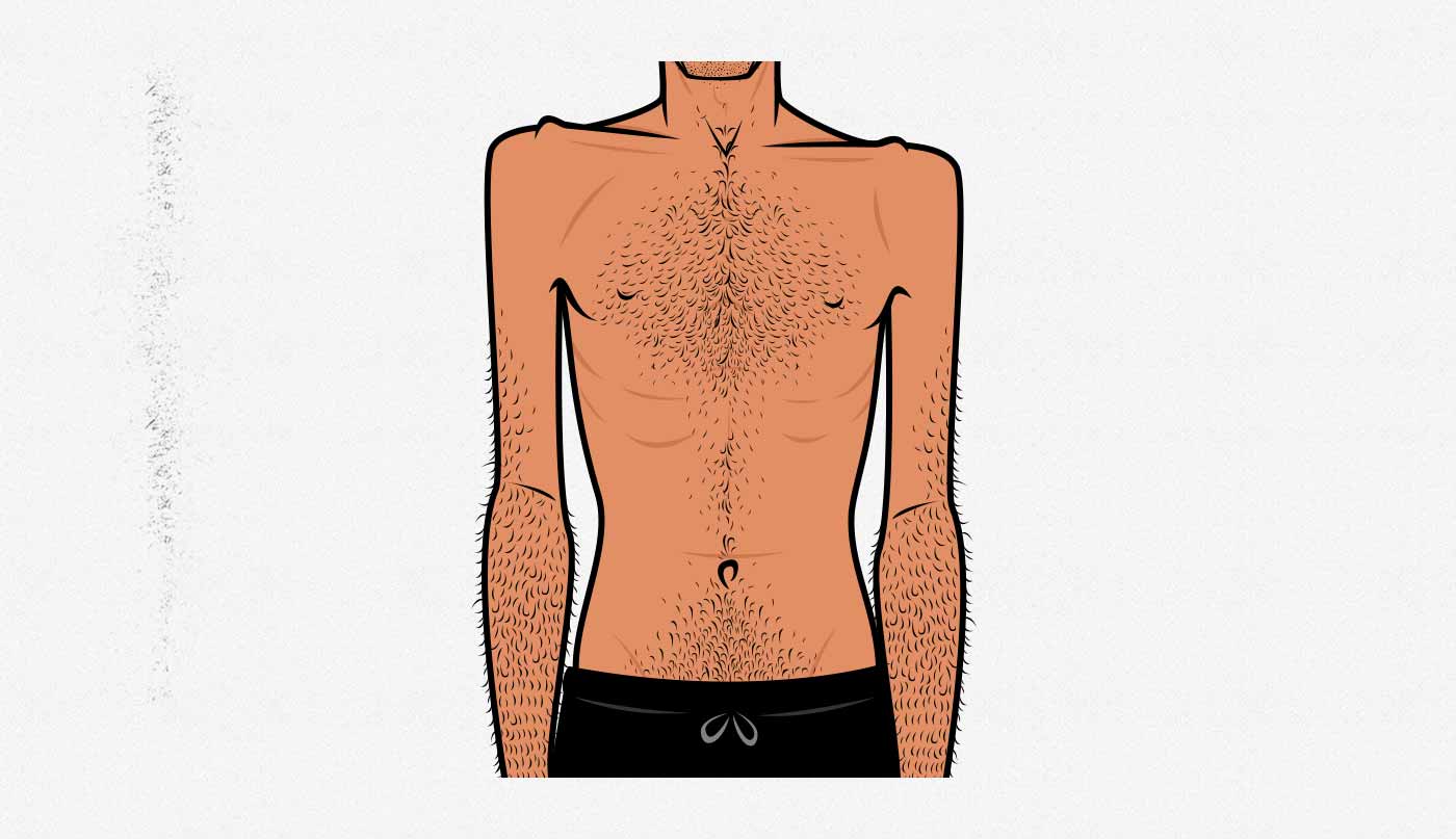 Illustration of the skinny ectomorph hardgainer body type.