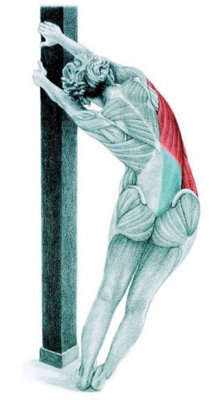 Анатомия стретчинга: растяжка широчайших мышц у стены