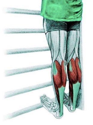 Анатомия стретчинга: растяжка икроножных мышц