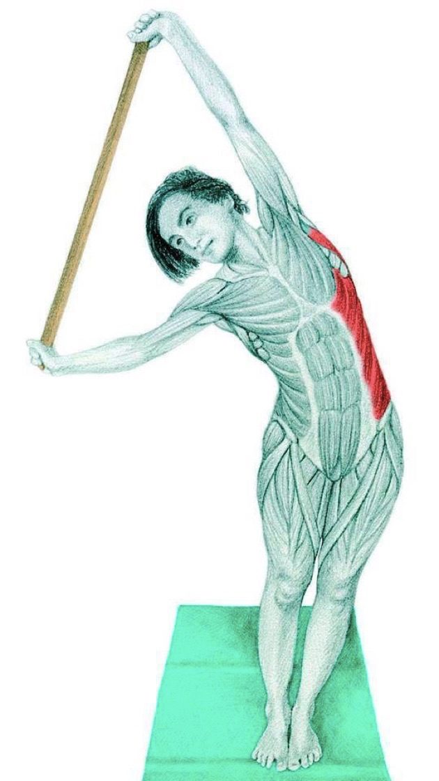Анатомия стретчинга: боковые наклоны