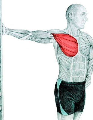 Анатомия стретчинга: растяжка грудных мышц у стены