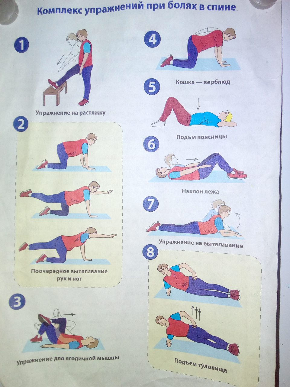 Болит спина зарядка. Упражнения при болях в спине. Упражнения для больной спины. Комплекс упражнений для поясницы. Комплекс упражнений от боли в спине.