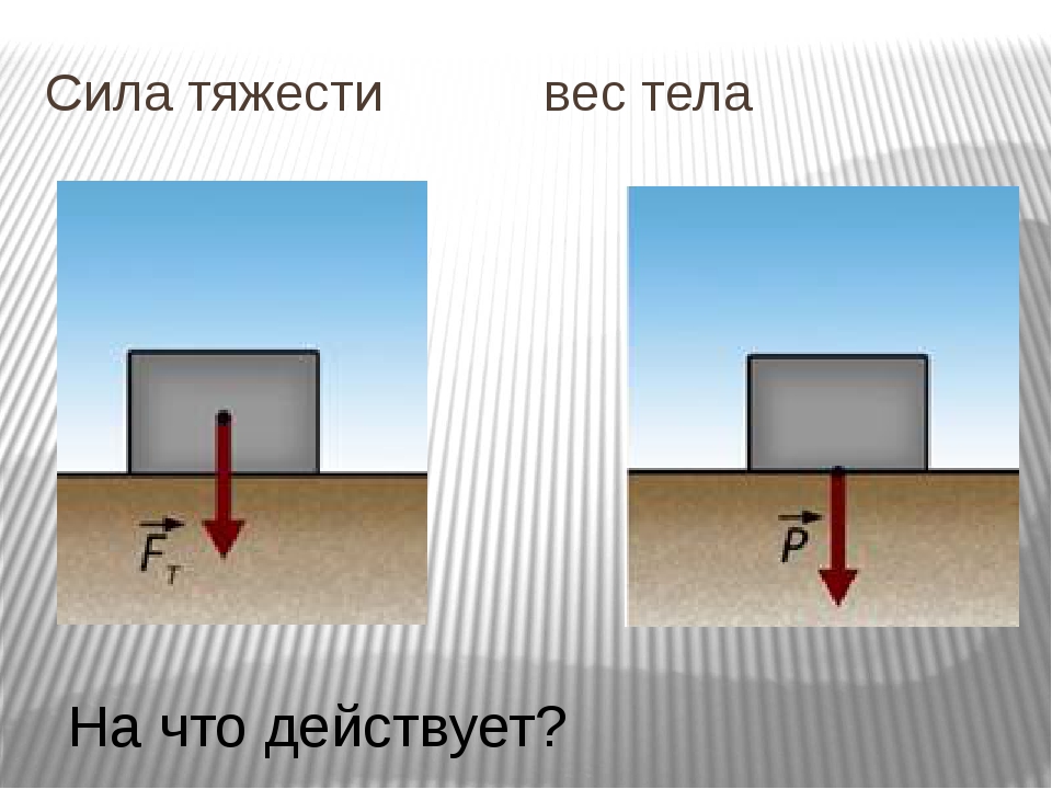 На какое тело действует наибольшая сила тяжести