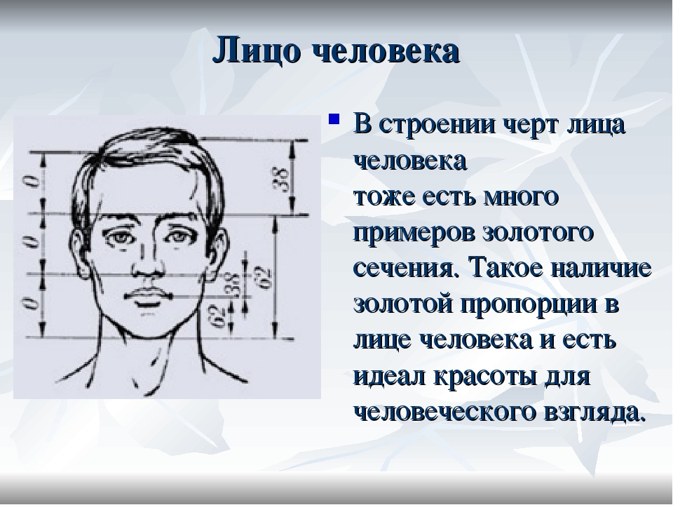 Длину человеческого. Человек с идеальными пропорциями лица. Золотое сечение в пропорциях лица человека. Идеальные пропорции лица схема. Пропорции лица по Золотому сечению.