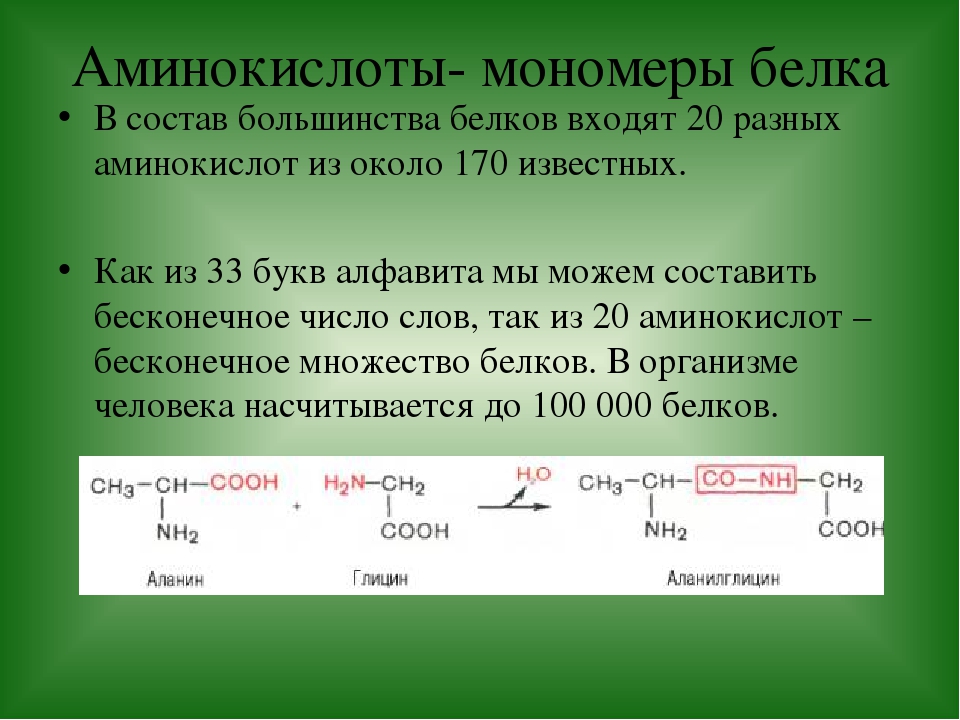 Рассмотрите предложенную схему реакции между аминокислотами запишите в ответ