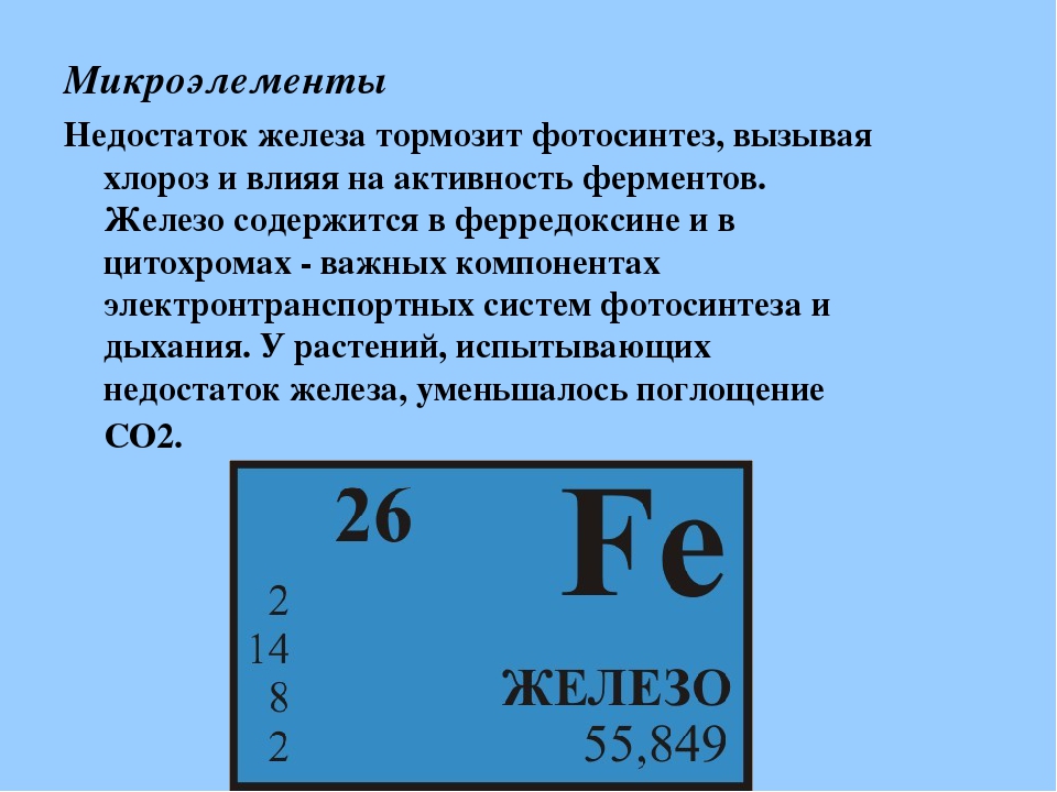 Микроэлемент железо картинки