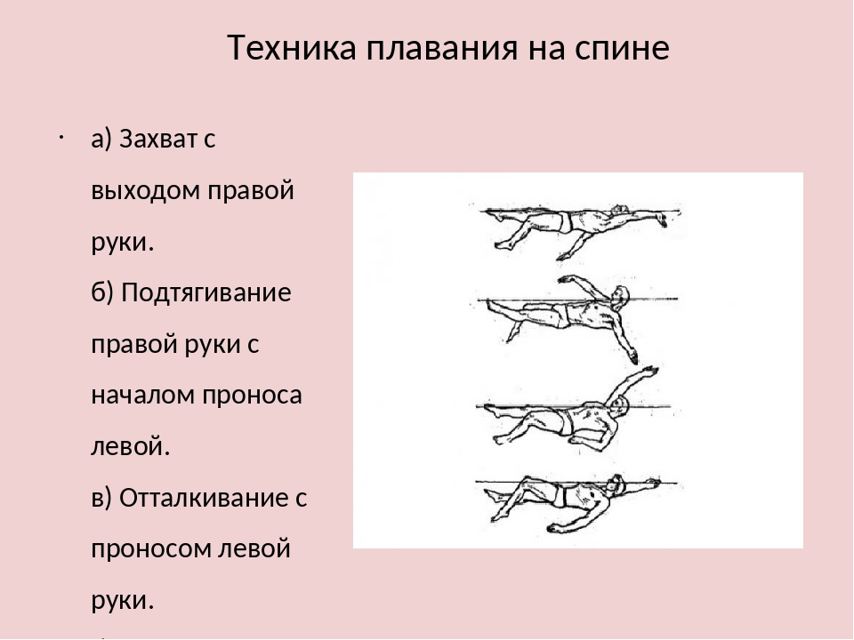 Техника плавания на спине для начинающих в картинках пошагово