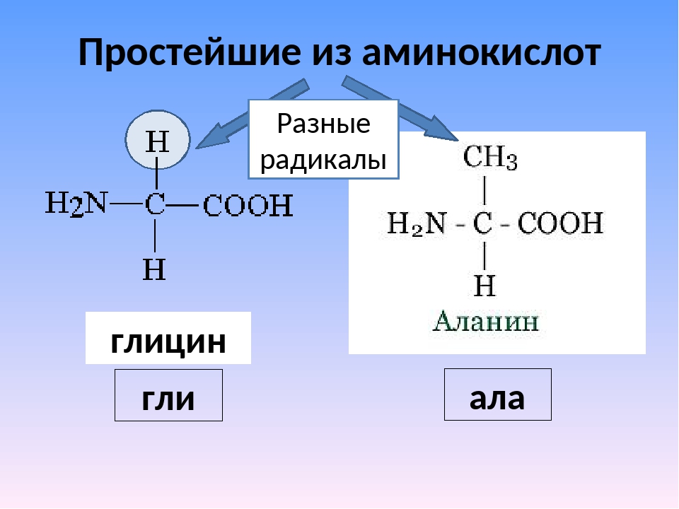 Глицин презентация по химии