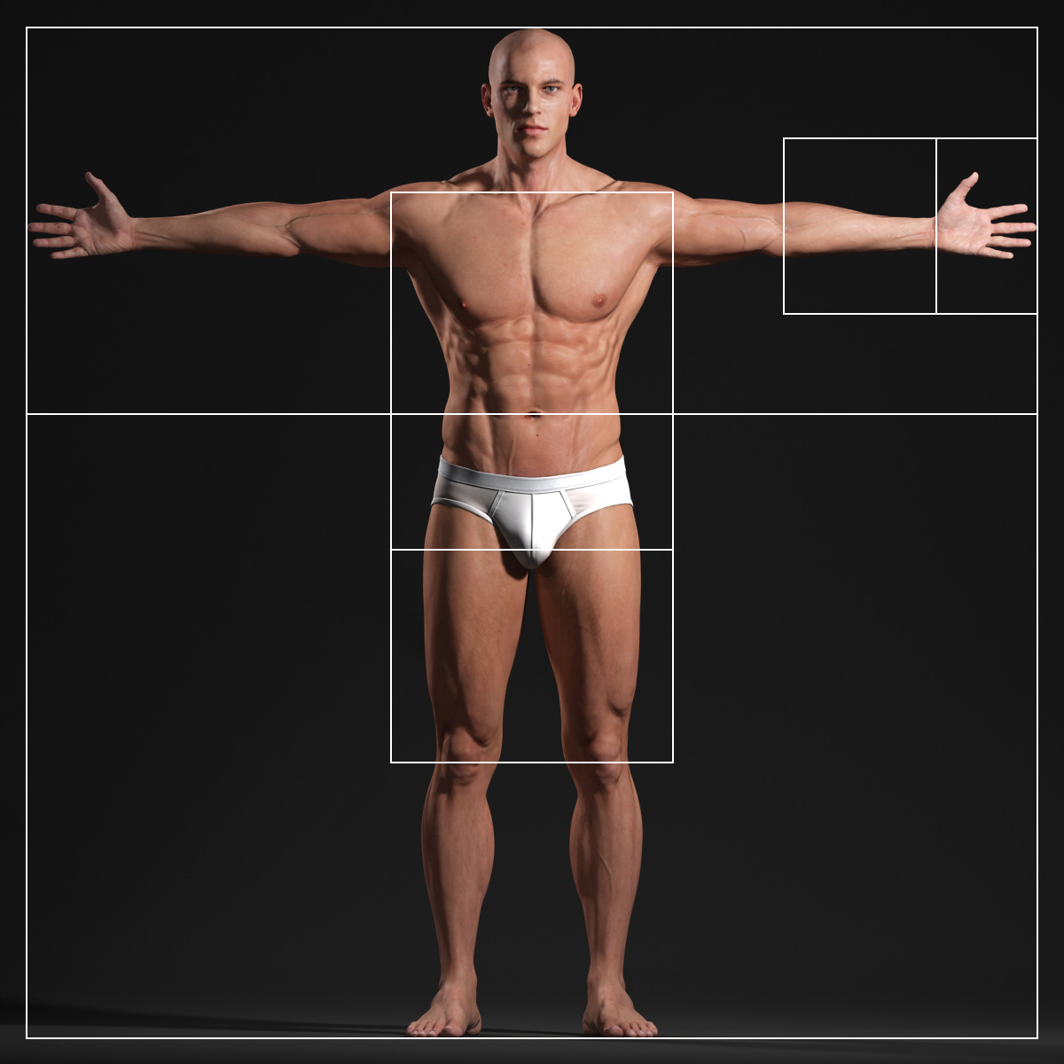 Идеальные пропорции тела мужчины