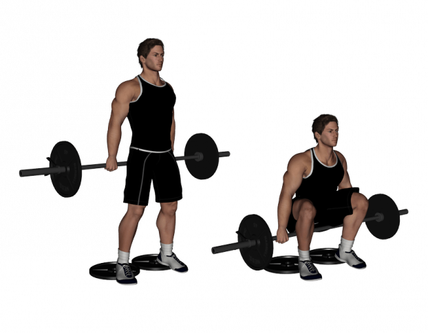 hack squat alternative - the barbell hack squat