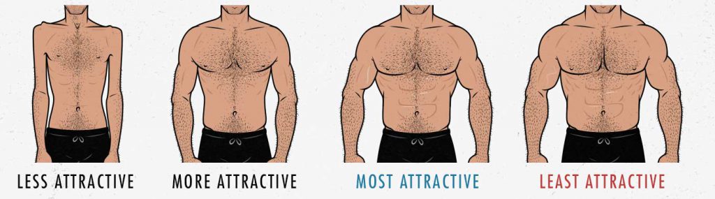 How muscular is the ideal male physique? Is there such a thing as being too muscular to be considered attractive?