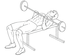 Close-Grip Bench Press - Bottom of Exercise