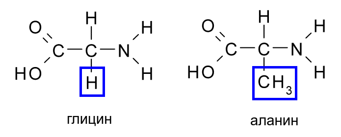 Глицин структура формулы. Полная структурная формула глицина. Глицин и аланин формула химическая. Аланин глицин формула структурная.