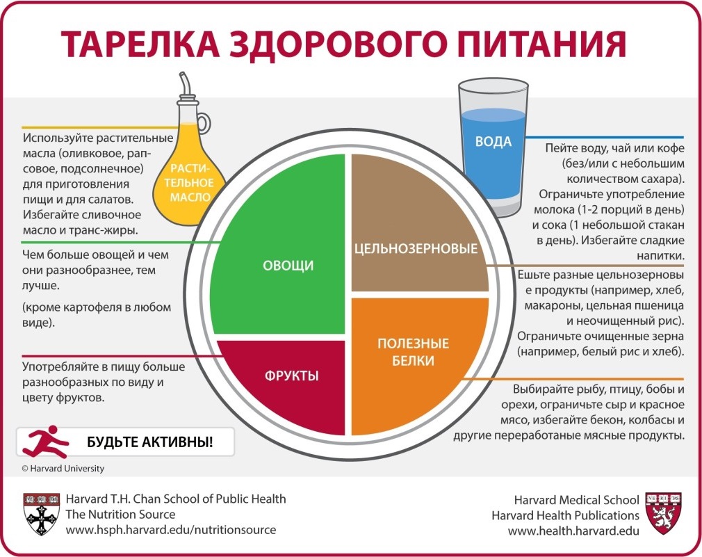 Гарвардская школа общественного здравоохранения разработала вариант тарелки здорового питания на&nbsp;русском языке