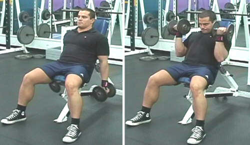 incline dumbell curls