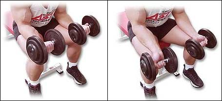 dumbbell wrist curls