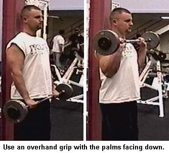 reverse barbell curls, reverse ez bar curls, reverse preacher curls