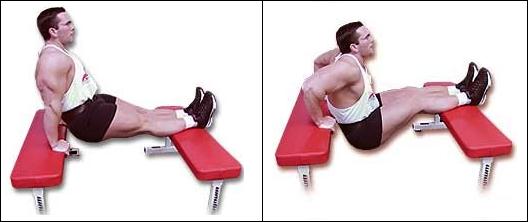 tricep dips, bench dips, dips between benches, bodyweight dips