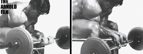 barbell wrist curls, dumbbell wrist curls