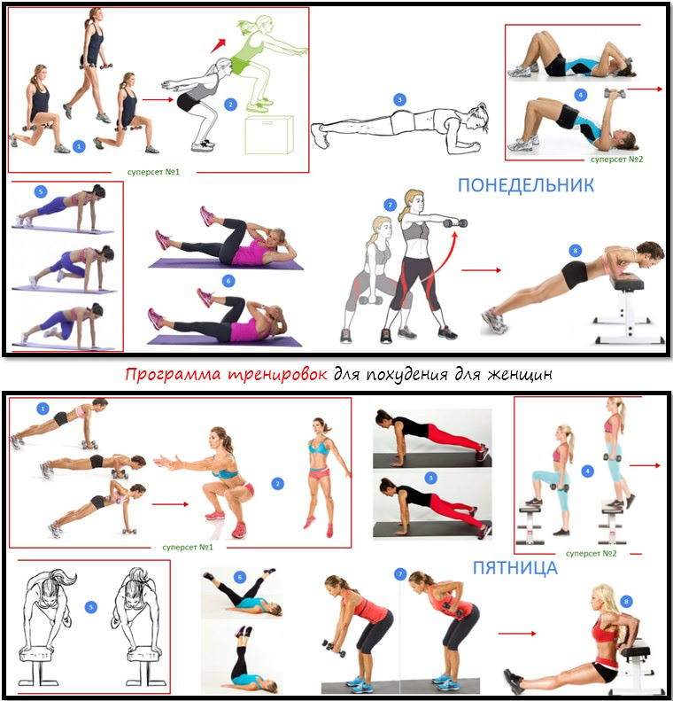 Тренировочный план в тренажерном зале для девушек для похудения