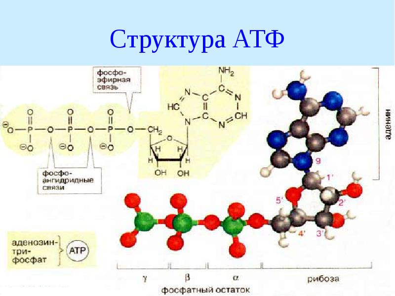 Киа атф сп 4